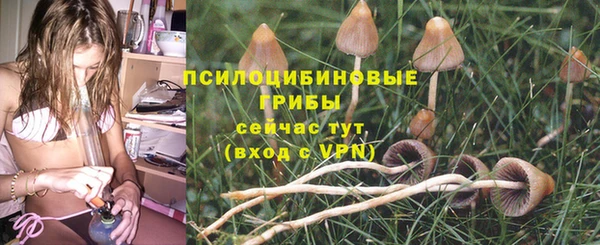 экстази Абаза