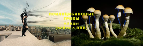 спайс Покров