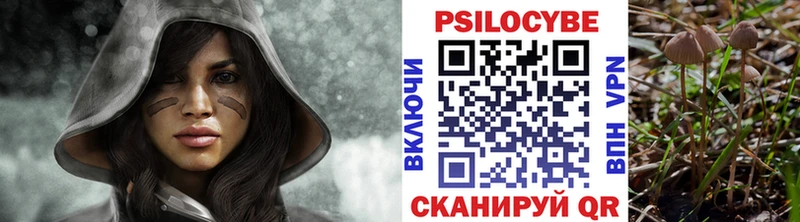 MEGA ССЫЛКА  где найти наркотики  Туран  Псилоцибиновые грибы Psilocybine cubensis 